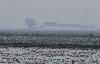 Les vannes du ciel s'ouvrent ... le paysage devient irr�el ...