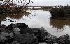 La Lagune d'El Roc�o abrite une ou des loutres ...