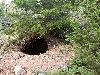 ... tani�re d'ours en Su�de ...