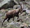 Ce beau m�le part de son c�t� ...