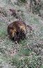 ... ou d�talant ... d�voilant la plante de ses pieds ...