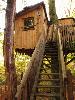 ... la cabane Ysengrin se situe � proximit� des deux meutes de loups d'Europe ...