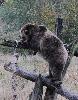 ... les incitant ainsi � parcourir leur territoire ...