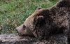 Une petite sieste s'impose ...