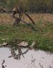 ... derni�re image du territoire des ours.
