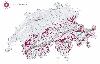 En Suisse, le T�tras lyre n'est pr�sent que dans les Alpes, principalement entre 1'500 et 2'000 m d'altitude. (Carte tir�e de : Les oiseaux de Suisse, de Lionel Maumary et al.)