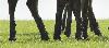 ... leurs pieds sont crott�s, la pluie ayant rendu certains endroits tr�s boueux.