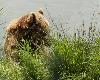... le voil� qui sort de l'eau ...