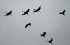 ... au dessus de nos t�tes !