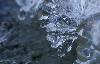 ... gouttes d'eau ...