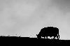 6_Contre-jour