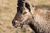 ... tr�s confiant ...