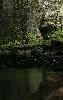 ... des concr�tions karstiques ...