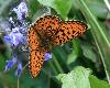 ... qui a soign� le d�cor !