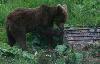 4e apparition � 5h52 ...