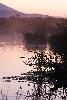 1_A Champ-Pittet, l'aube se l�ve ...