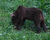 5e apparition � 6h02 ...
