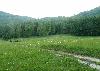 Une des nombreuses grandes clairi�res