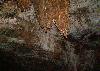 ... visit�e seulement sur demande ...