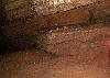 ... l'Ours des cavernes y hibernait jusqu'� sa disparition voici un peu plus de 10'000 ans