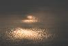 Reflets dor�s sur le L�man